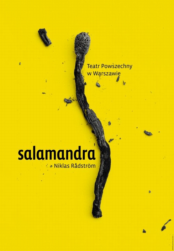 Salamandra, Salamander, Homework Joanna Gorska Jerzy Skakun Salamandra, Salamander, Homework Joanna Gorska Jerzy Skakun