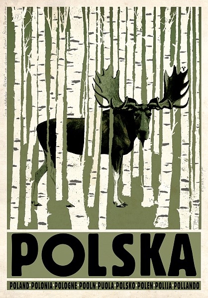 Birch Wood, Poland