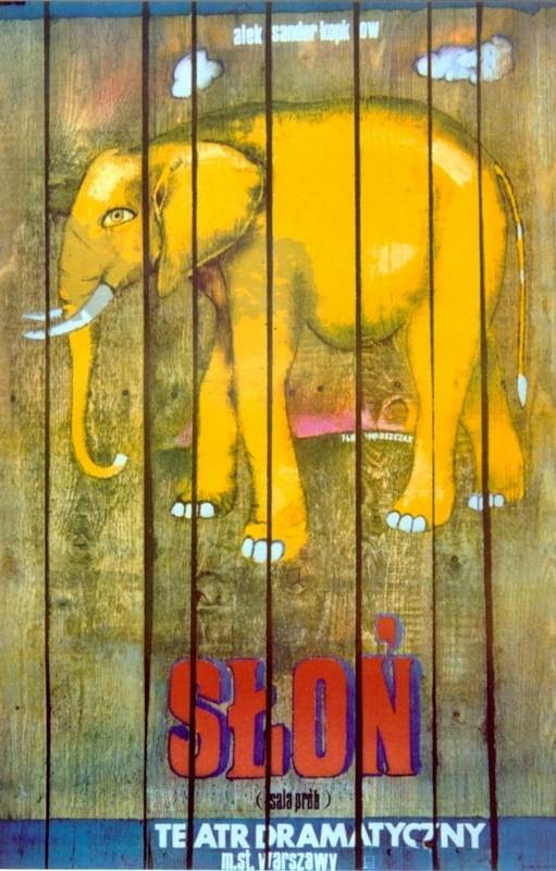 Slon, Elephant, Mroszczak Marcin